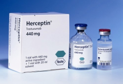 鵥(Herceptin)Ϊʮڻߴ洦