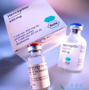 鵥(Herceptin)HER2ٰЧ