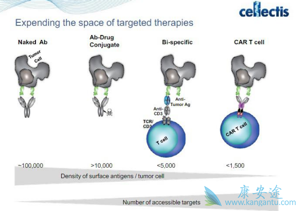 CAR-T