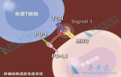 PD-1