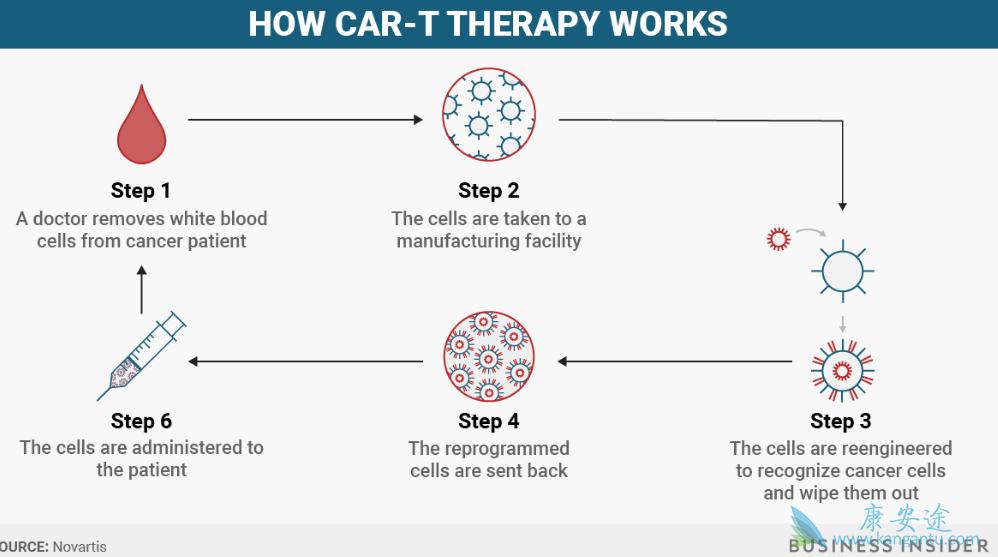 CAR-T