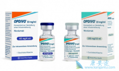 Opdivo(nivolumab)Yervoy(ipilimumab)Чڻ