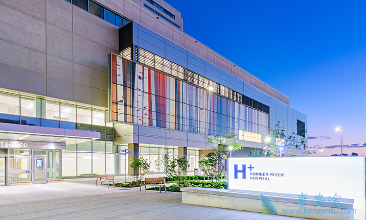 ҽ������