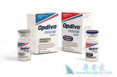 PD-1(Opdivo)PD-1(Keytruda)ʲô