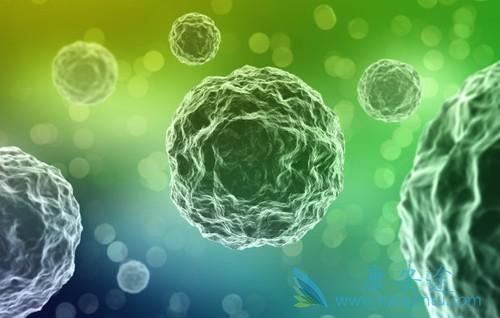 ����ҽ��