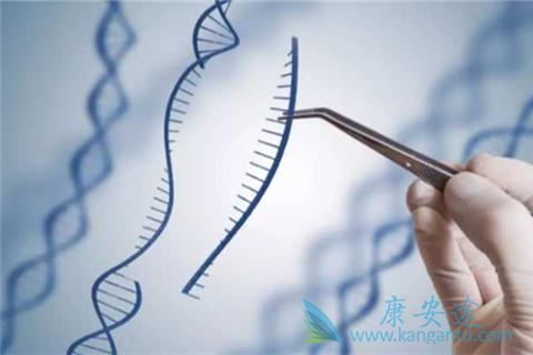 出国看病 出国看病