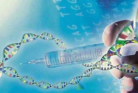 海外医疗 海外医疗