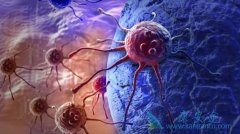 ����ҽ������ò�����������������ϸ����