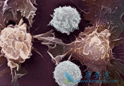 ����ҽ��