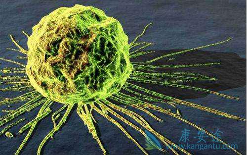 ����ҽ��