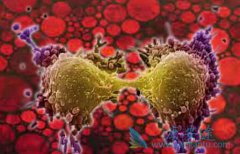 ����ҩ��ĳ����ú���ҽ�ƽ����¹յ�