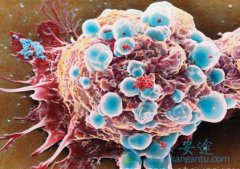 �¿������Ϊ����ҽ�ƶԿ���ɫ���������³���