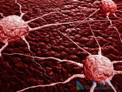 ����ҽ�����о��ɹ��ð�ϸ����ֹ����ǰ��