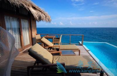 ҽ������