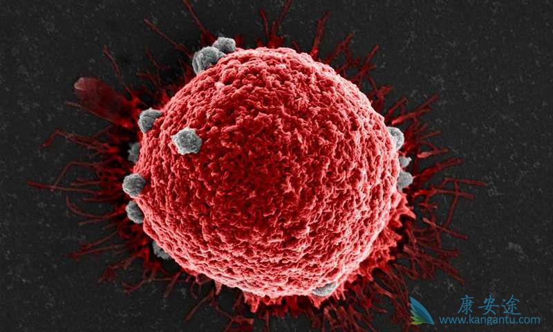 海外医疗 海外医疗