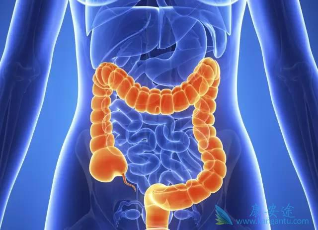 ����ҽ��