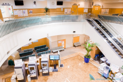 ��ҩ���л���ʹ�ô�������ѡ����ҽ������