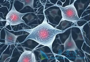 ����ҽ��