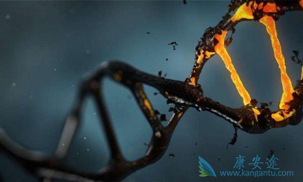 海外医疗 海外医疗