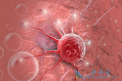 ����ҽ�ƻ����ܷ�����ס��֢ת�ƵĽŲ�