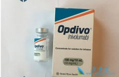 60İ֢߻ʺʹPD-1