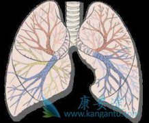 ���˳����˷���ά����֢״���Ǹ���λ�����