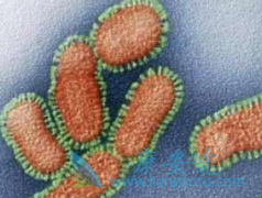ӡ޿(ERLOTINIB)Щΰ