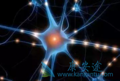 PD-1ҩKeytrudaǸư֢ӹ߼չĵһƷ