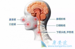 ķ(pembrolizumab)ͷӦ