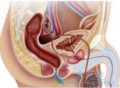 PD-1ҩTecentriq(atezolizumab)ưװø