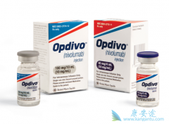 PD-1ƼOpdivoԤƽ2018ʽڹ