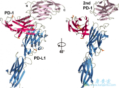 ķ(pembrolizumab)˫Էΰ߿ӳOSPFS