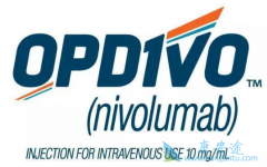 PD-1ҩ䵥(Opdivo)ڲͬƲͬӦ֢ʱ÷