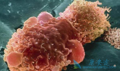 (ERLOTINIB)ڼΰҪԸߵʳ
