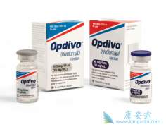 СϸΰӭPD-1Ʒ OpdivoСϸΰ