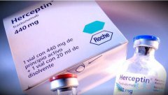 ͡(Herceptin)ڶְ֢ƵǶ