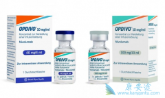 PD-1ƼOpdivo۸񹫲 ʲôʱڹPD-1Ƽ