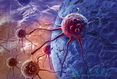 PD-L1atezolizumabܷΪװߵһҩ