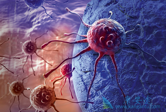 atezolizumab