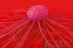 ϣ(Osimertinib)ĹЧǴͳһҩ2