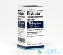 ҹеĵڶPD-1KeytrudaѾִ