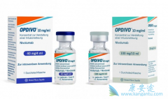 еPD-1Ƽŷ֣OpdivoֱFDA׼Сϸΰ