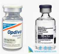 PD-1ƼӦPD-1ƼӦЧĹϵ