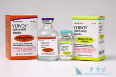 CTLA-4IpilimumabT-VECƺɫЧ