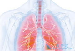 ŷ(nivolumab)/䵥ʹַΰʵ˳