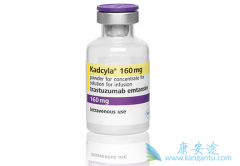 鵥ҩżT-DM1/KadcylaHER2ͻ