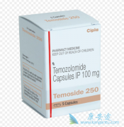 Ī(vtemozolomide)1p/19qͬʱȱʧļԽЧ