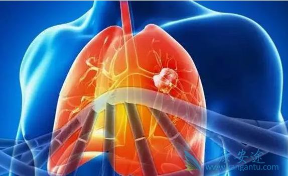 ��Сϸ���ΰ�