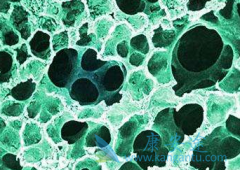 �ط��Է���ά�����������ȷ����������ͪ(pirfenidone)