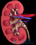 쵥(Atezolizumab)+һPFS걬
